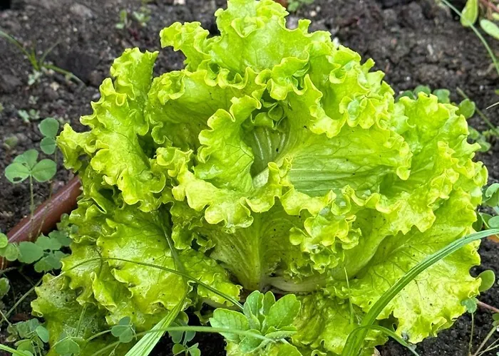 Casa De Ramalde Feriehus Porto