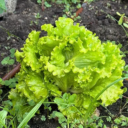 Casa De Ramalde Ferienhaus Porto